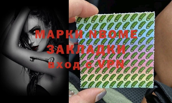 шишки Богородск