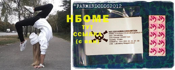 шишки Богородск