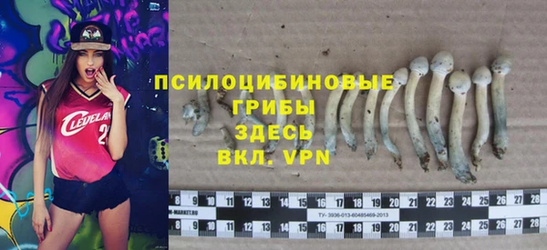 кристаллы Богородицк