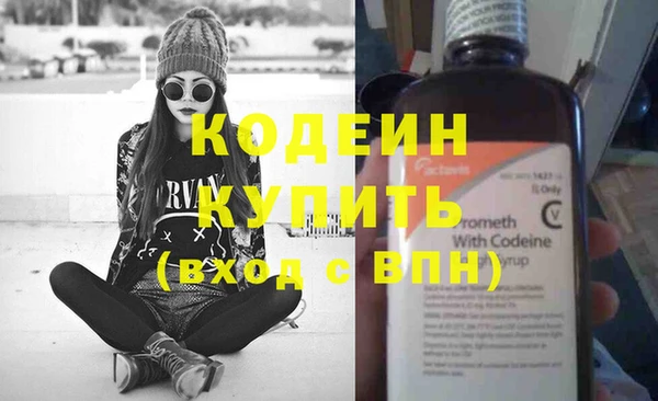 шишки Богородск