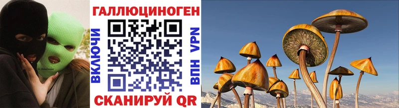omg онион  даркнет сайт  Мытищи  Галлюциногенные грибы мухоморы 